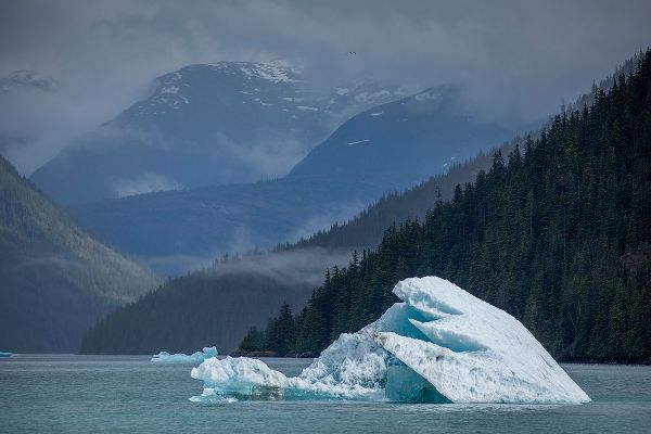 Alaska-Tracy Arm-Fords Terror Wilderness-Glacial iceberg floating in Holkham Bay